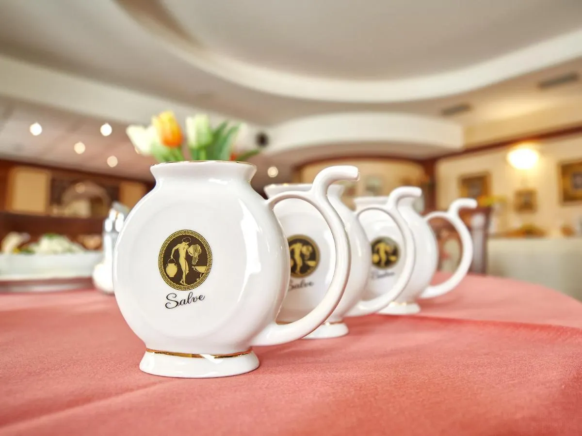Hotel Salve Karlovy Vary 4*,  Czech Republic